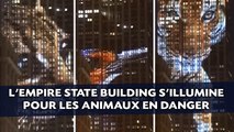 L'Empire State Building s'illumine pour les animaux en danger