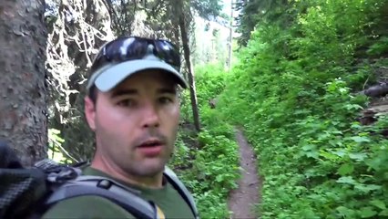 Hiker encounters a mountain lion and tries to stay calm...