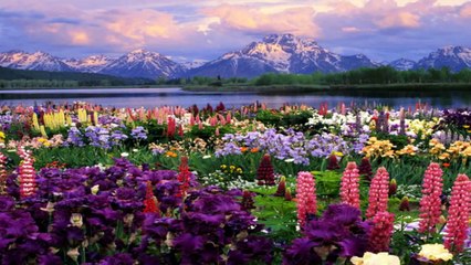 ALLAH Almighty -- Ahmed Bukhatir