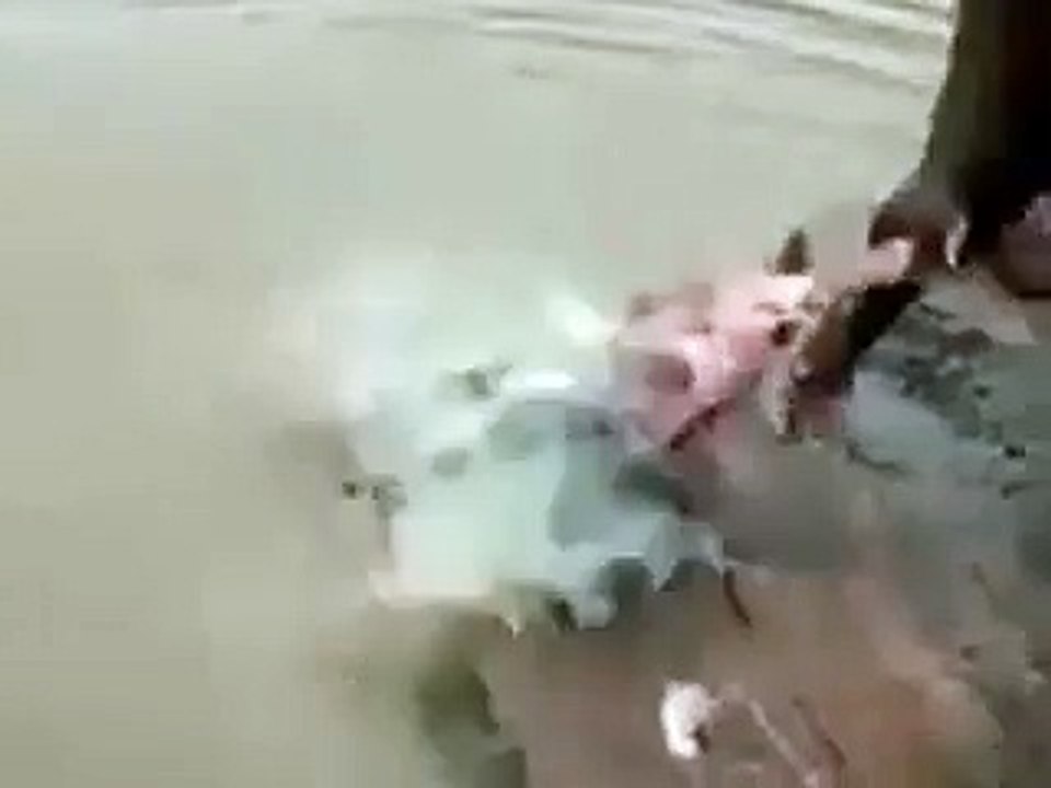 machli pakrnay asan taeeqa