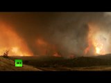Raging Inferno: Forests & woodlands engulfed in flames in California