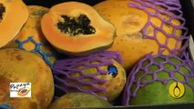 Healthy Cooking and Eating Well by The Food Coach - learn about the nutrition of papaw and papaya