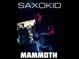 Dimitri Vegas, MOGUAI & Like Mike feat. SaxoKid - Mammoth (sax bootleg)