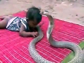 Girl Trying to touch Cobra's tail - Later Picked up Cobra by neck