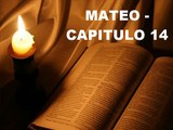 MATEO CAPITULO14
