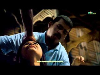 APA KATA MEREKA TENTANG PAKU PONTIANAK?