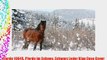 Pferde 10045 Pferde im Schnee Schwarz Leder Klap Case Cover Tasche Aufklappbar Lederh?lle Flipcase