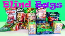 Angry Birds Morph Lite, Mashems, Trash Pack, Transformers, Shopkins, LPS, Lego,