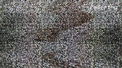 Prison School | Funny moments HD