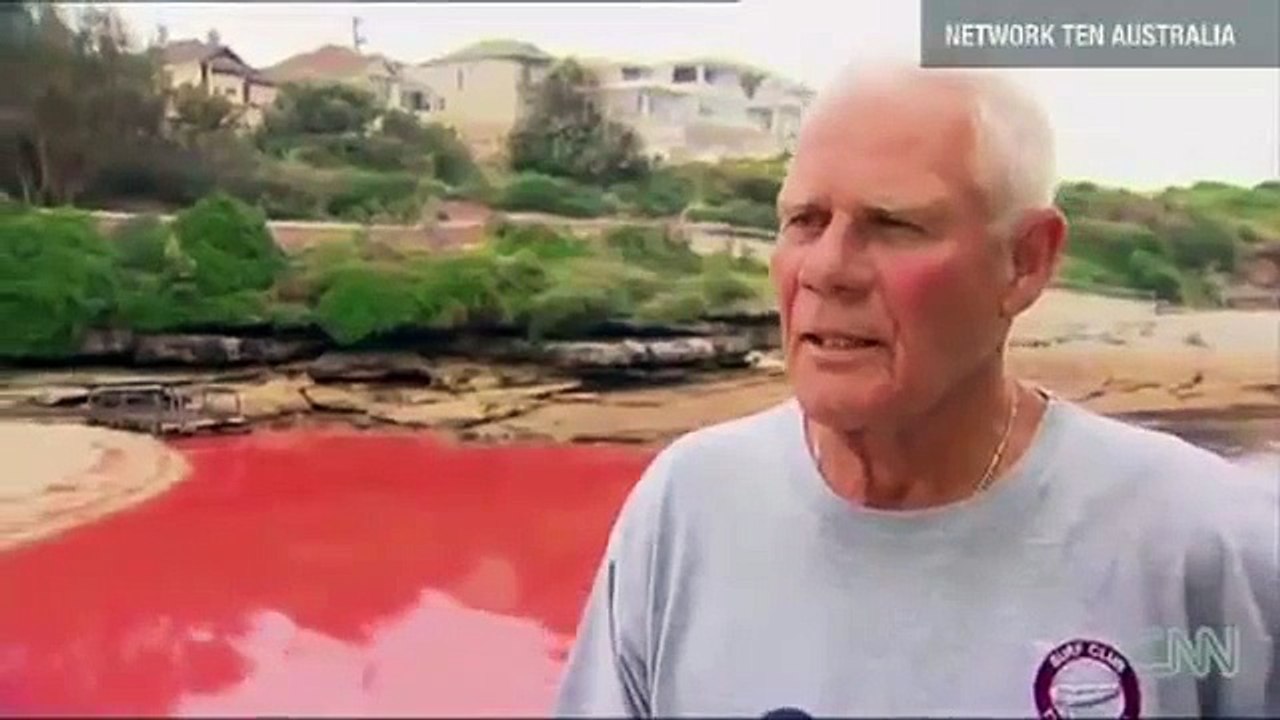 Blood Red Beaches In Australia November 27 2012