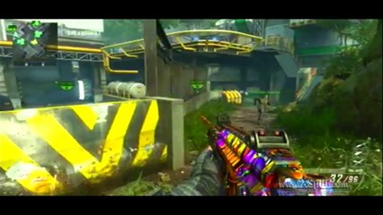 Black Ops 2 Trolling - I'm an alcoholic and a duck