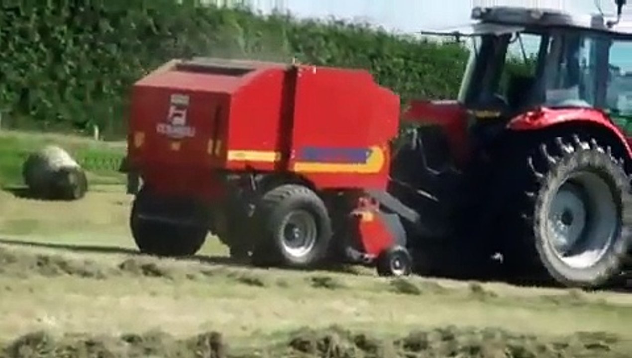 Feraboli Trotter 100