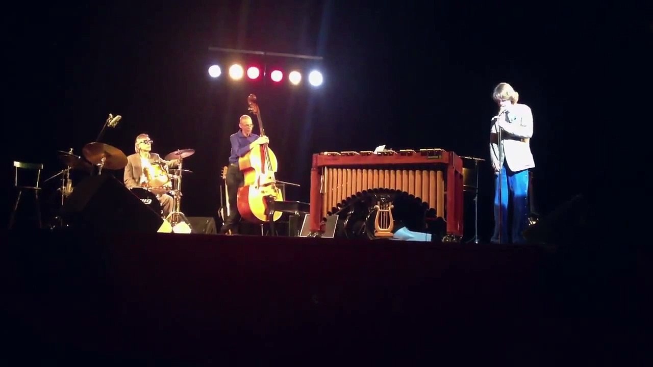 Helge Schneider live Wien 2012 Vibraphon