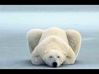 Gareth Johnson - I want it (Rock Ver.)  Nat Geo Wild 2012