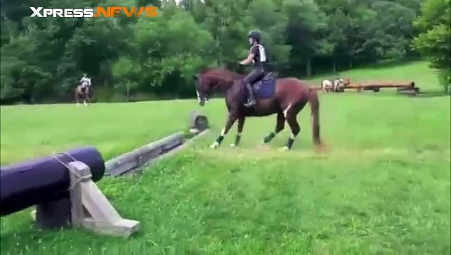 J y vais J y vais pas un Cheval hésite face à un petit obstacle