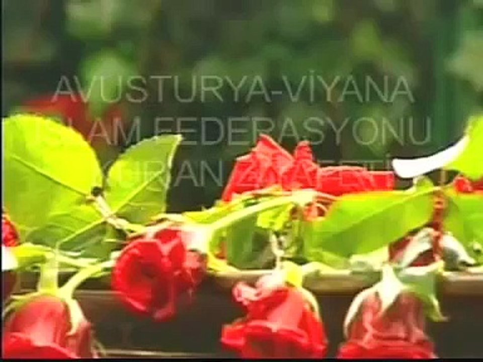 تلاوات خاشعة مبكية