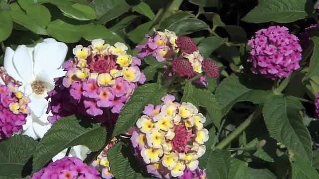 World Class - Italy - luxury travel in Venice, Portofino and the Amalfi Coast