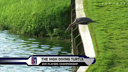 OMG Top 10 Animal Encounters On The PGA TOUR