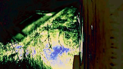 PYTP - Truskawki zmieliły maliny na drobny mak!