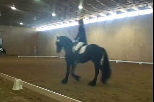 Hendrik Friesian Stallion Dressage Show Silver Spur 2008