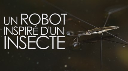 Un robot amphibie saute comme une araignée d’eau