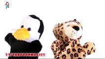 Johny Johny Yes Papa - Funny  Penguin & Tiger puppets children rhymes Kids Learning English Songs