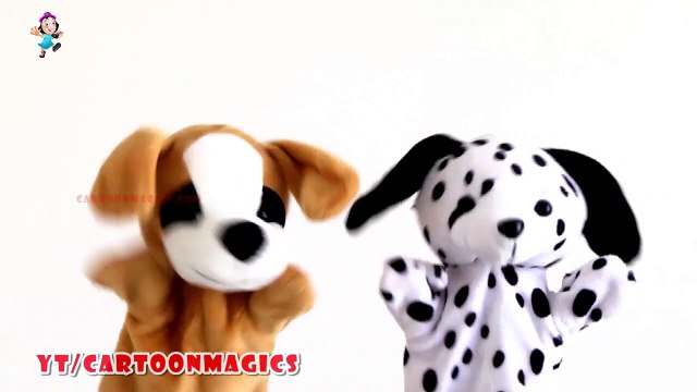 Johny Johny Yes Papa - Funny Puppy Dog & Cute Dog puppets children rhymes