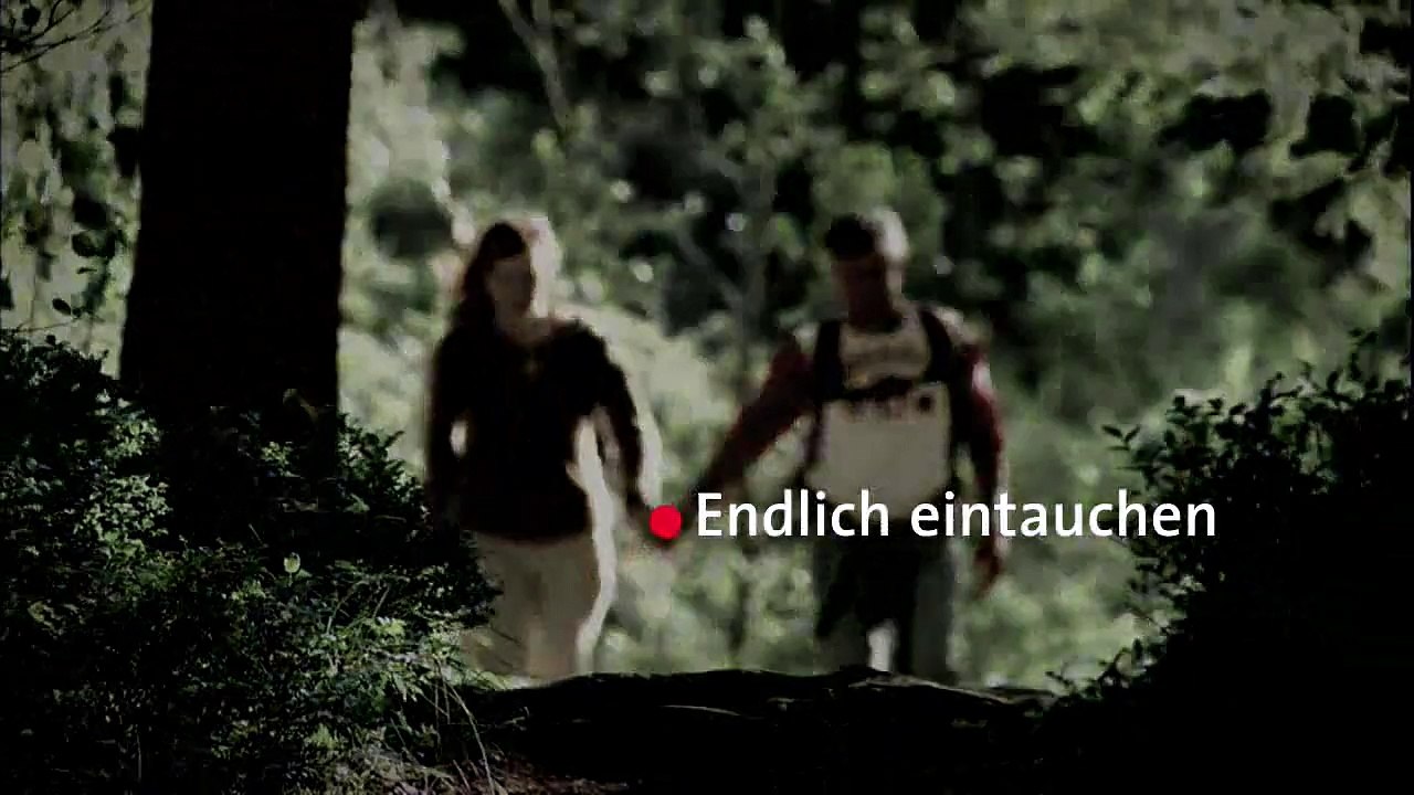 Schwarzwald / Black Forest - Black Forest Region, Germany - GER