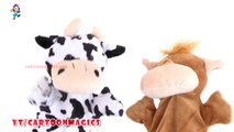 Learn to count from 1 to 10 - Funny Cattle cow & Hippopotamus puppets children rhymes