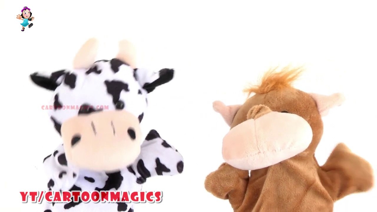 Row Row Row Your Boat - Funny Cattle cow - Hippopotamus puppets children rhymes Kids Songs