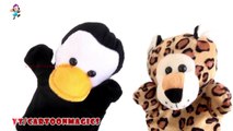 Funny  Penguin & Tiger puppets Finger Family children rhymes