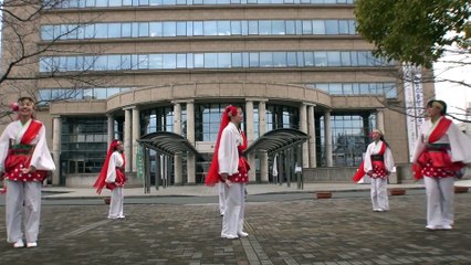 紀国やっちょん踊り(KINOKUNI YACHYONN DANCE)～fom WAKAYAMA