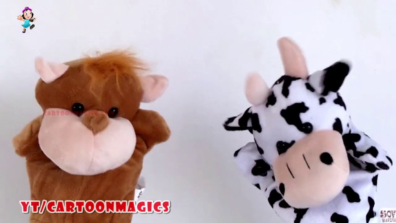 The Wheels on the bus go round and round song - Funny Hippopotamus & Cattle cow puppets Kids Songs