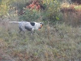 30) Vie╠üo Floc f 007