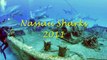 Nassau Bahamas Shark Dive