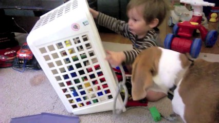 Beagle and baby are the cutest best friends