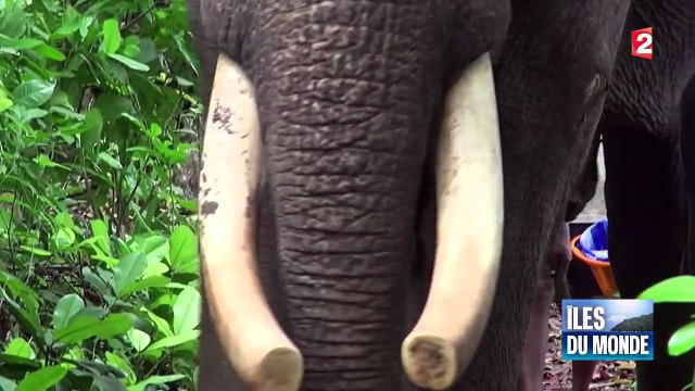 Océan indien : la magie des îles Andaman