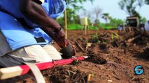 Sud Soudan: Déminer les terres infestées
