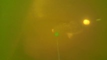 Voiture filmée - Peche au Silure au Carassin Water Wolf HD Underwater Camera - Meuse Belgique 02.08.2015