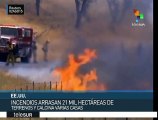 EE.UU.: incendios forestales en California destruyen 21 mil hectáreas