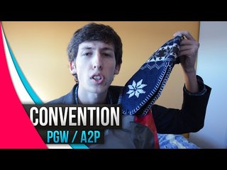 Les Conventions de Novembre : Paris Games Week / Art to Play Nantes