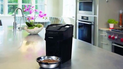 Petsafe Healthy Pet Simply Feed Reviews - Get Healthy Pet Simply Feed