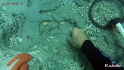 $1 million in 300 year old treasure recovered off Florida coast
