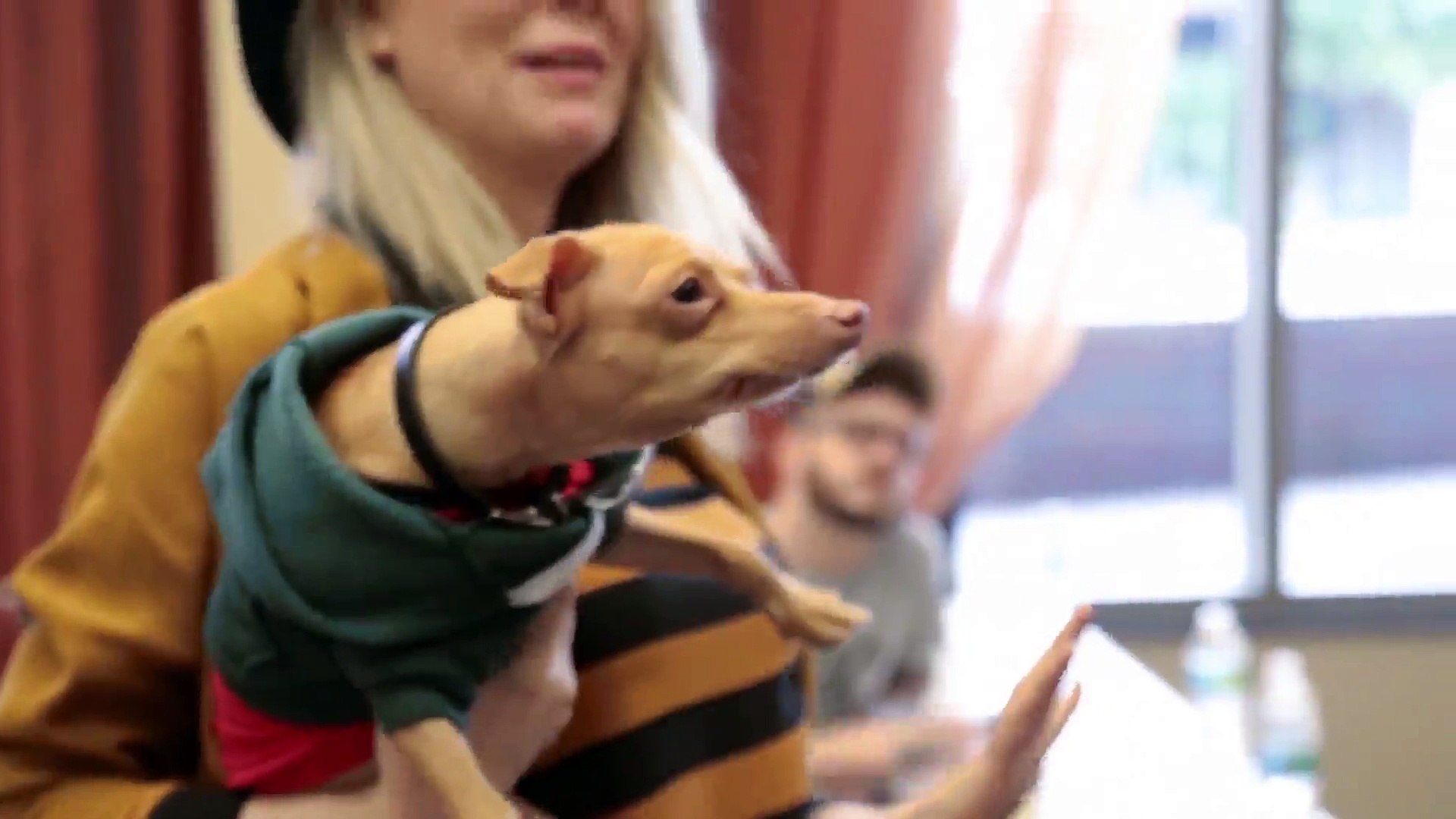 Lil Bub Meets Tuna The Dog