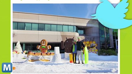 Surprise Blizzard Covers the Google Campus