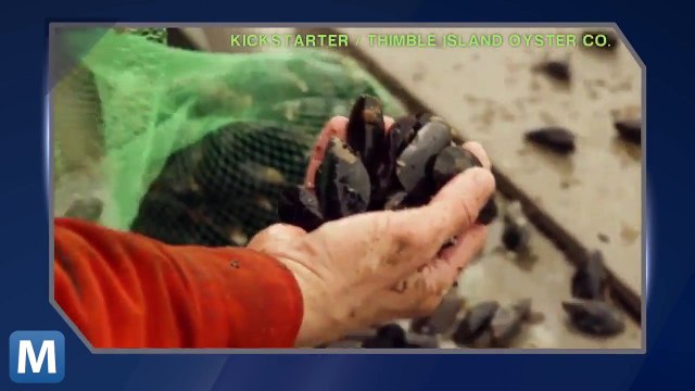 Former Fisherman Builds Ocean Farm to Grow Food, Help Environment