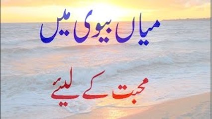 Miya Biwi Mein Mohabbat Ke Liye