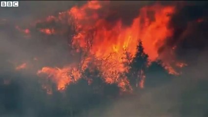 De violents incendies ravagent la Californie