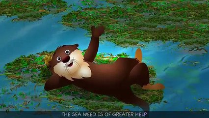 Sea Otter Song | ChuChuTV Sea World | Animal Songs For Children