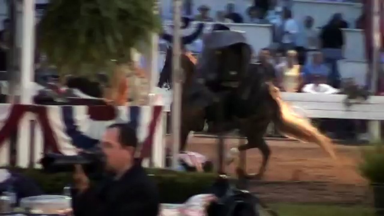 MANY PEARLS Five Gaited American Saddlebred